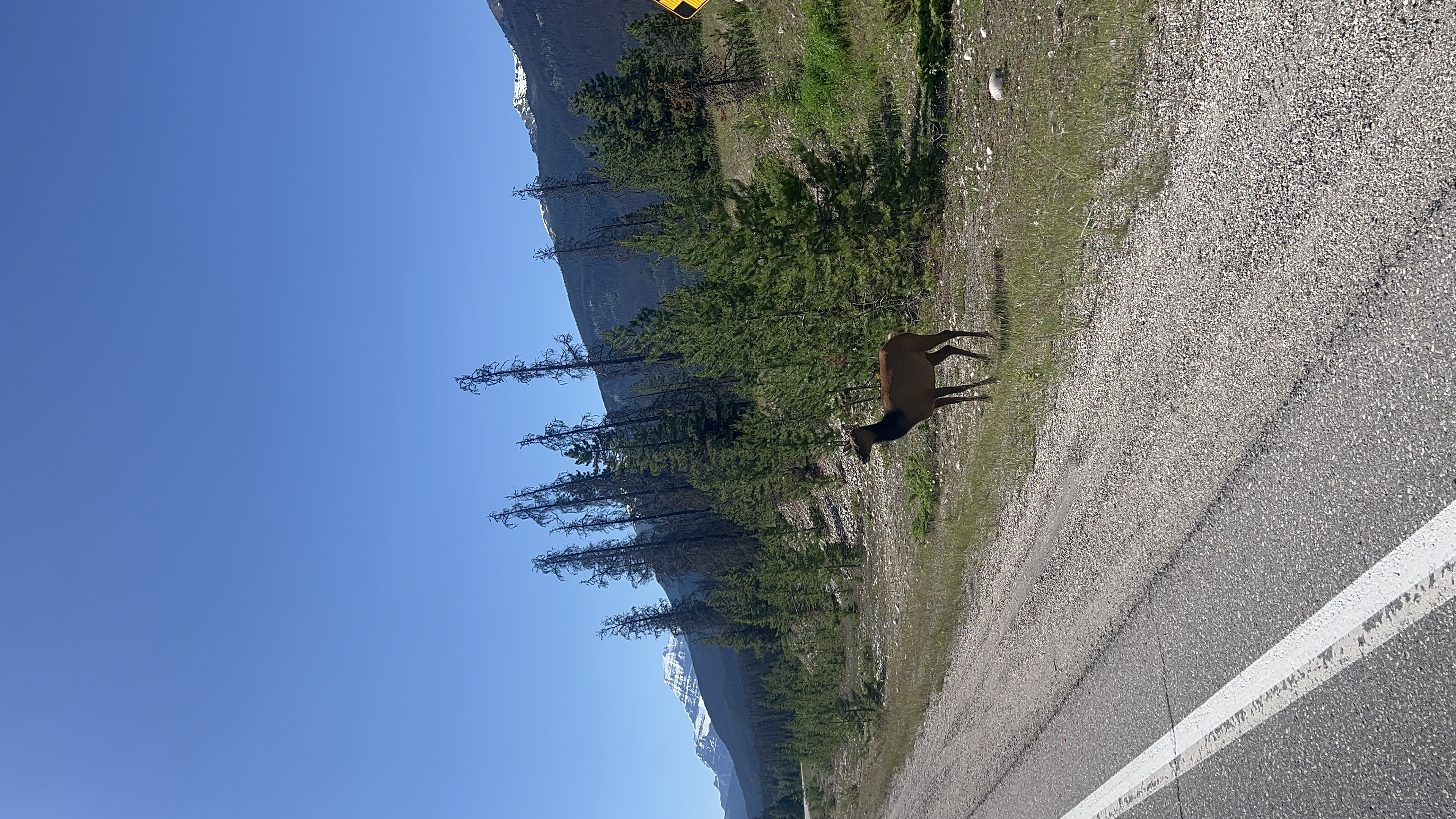 Trail entrance area with mountain view