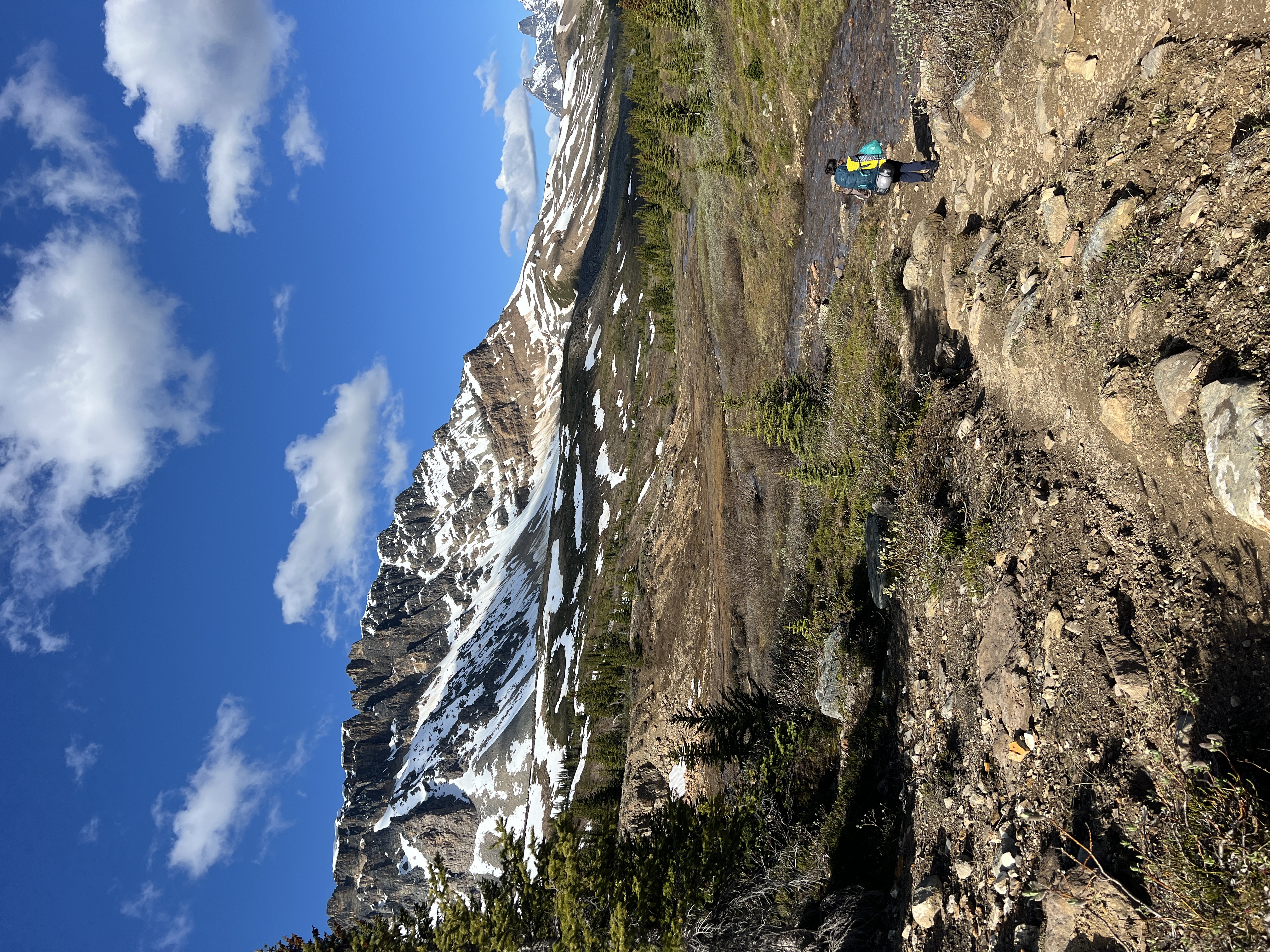 The Tonquin Valley mountain range under a clear sky