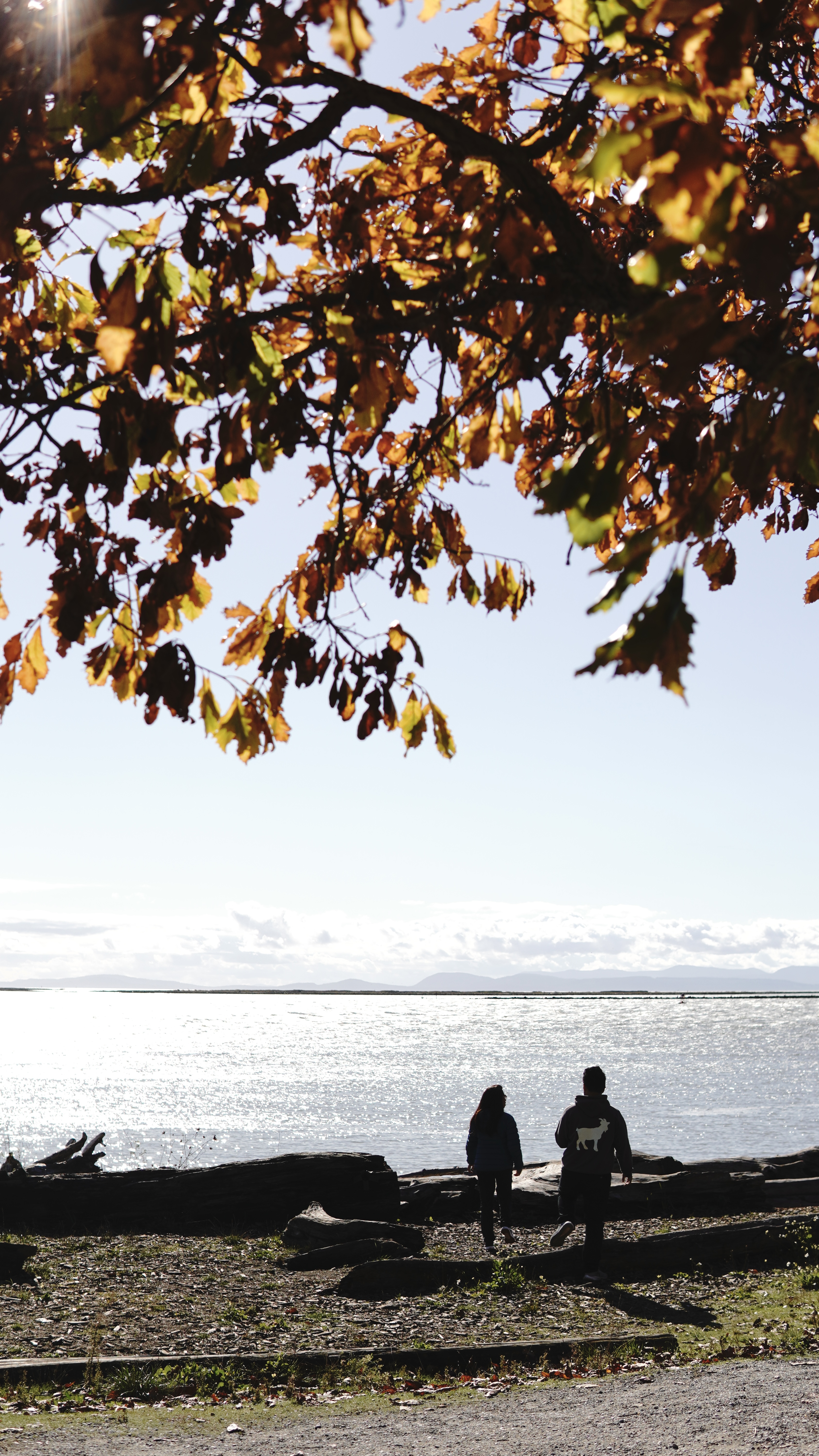 Sarah in a white hoodie and Nico in a black jacket walking the driftwood shore at Garry Point, a distant skyline behind them.