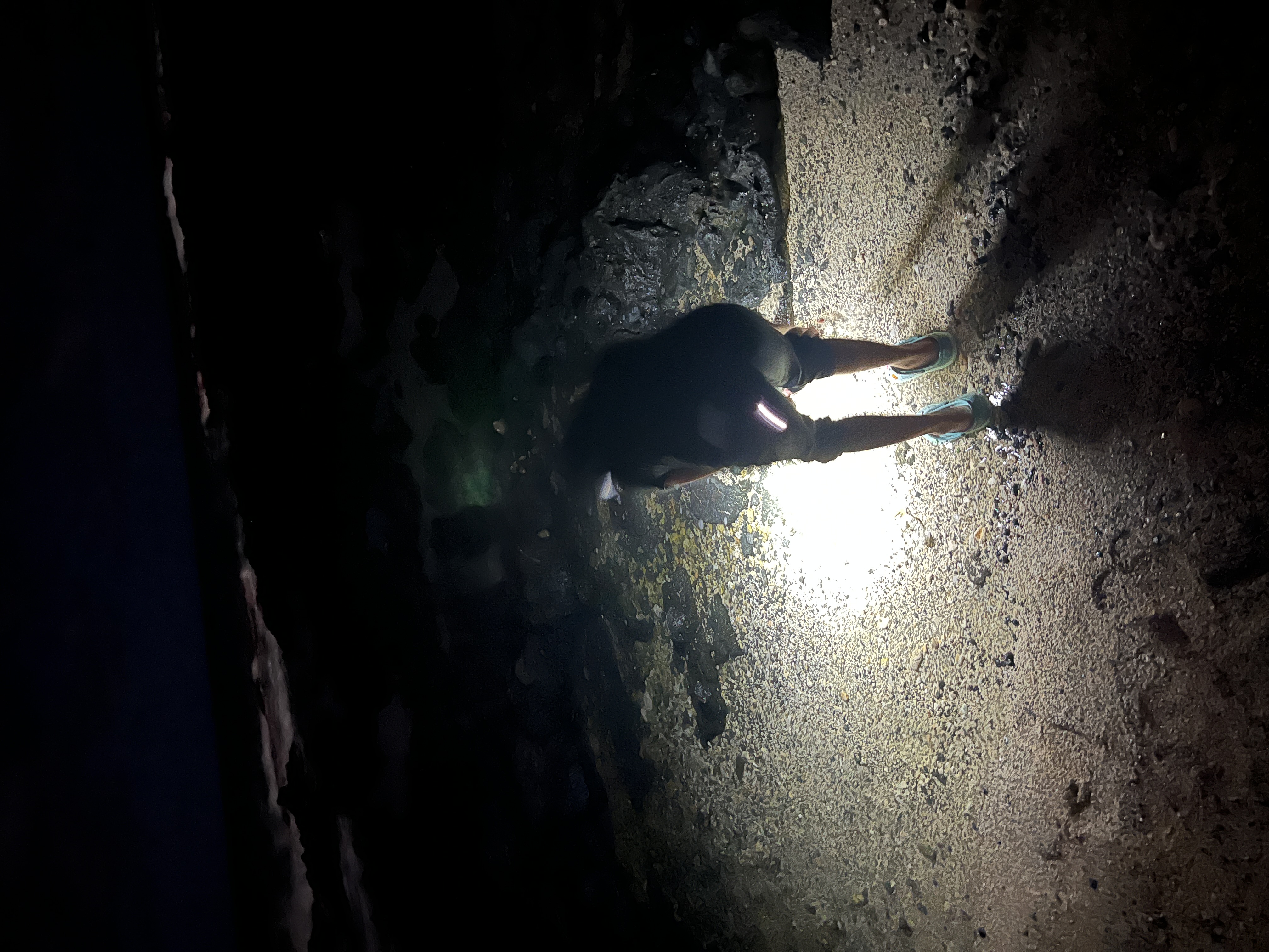 Night crabbing on the beach near Sandy Beach, a person in a black hoodie with a headlamp and a flashlight on the sand.