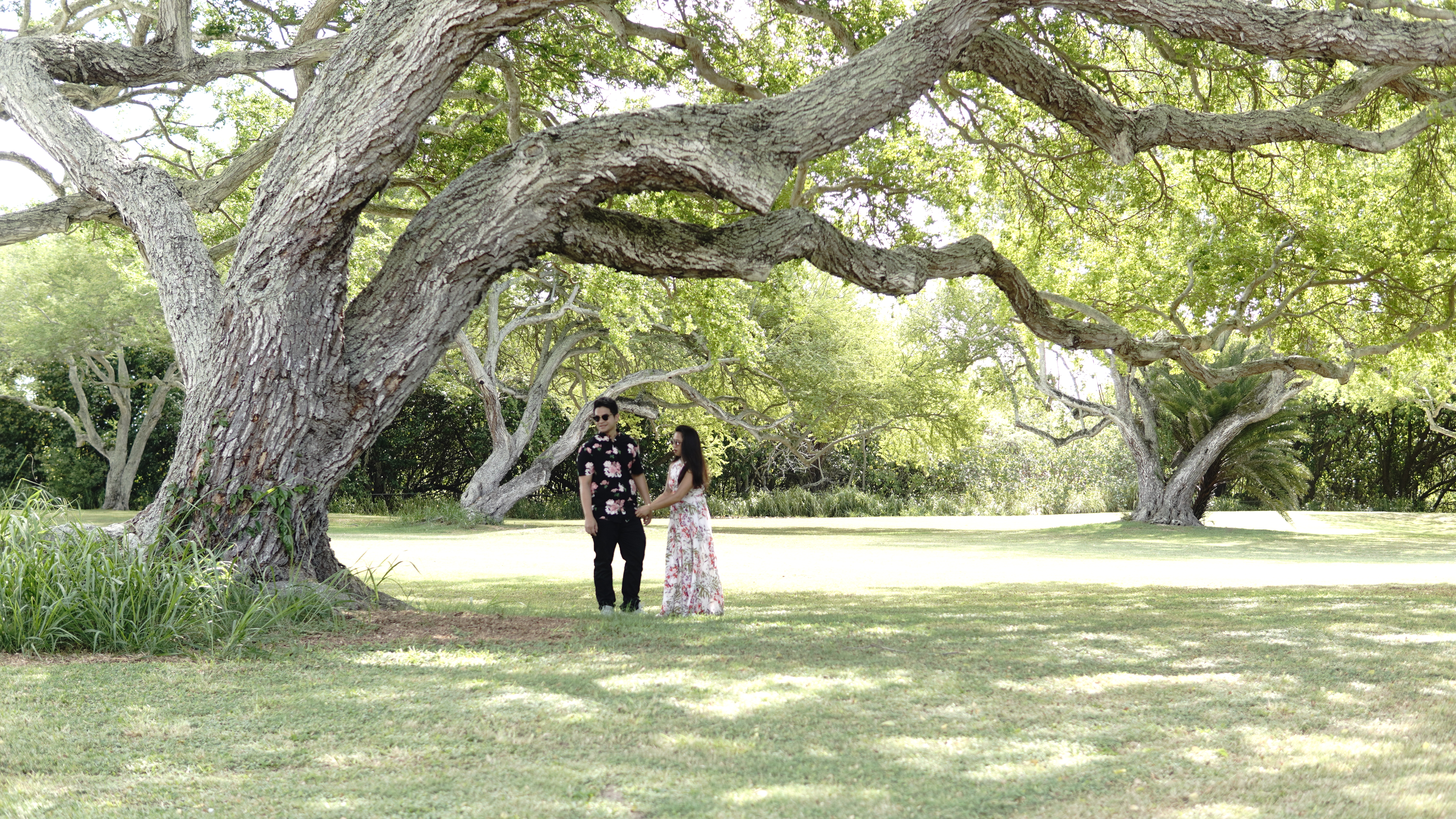 Sarah and Nico hugging on the rocks right after the proposal, her dress against his black shirt.