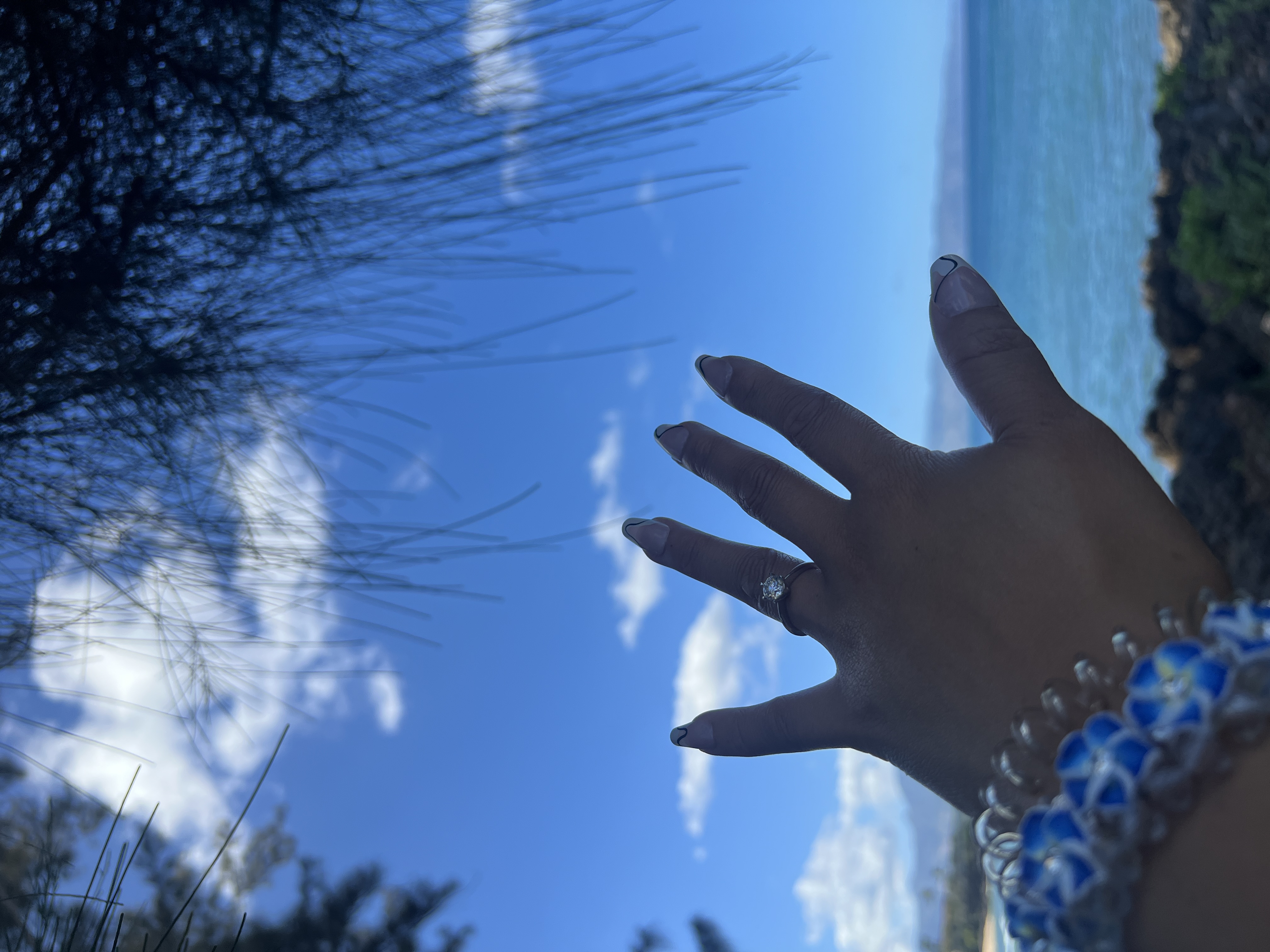 A hand held up to the sky wearing an engagement ring, ironwood needles overhead and the ocean behind.