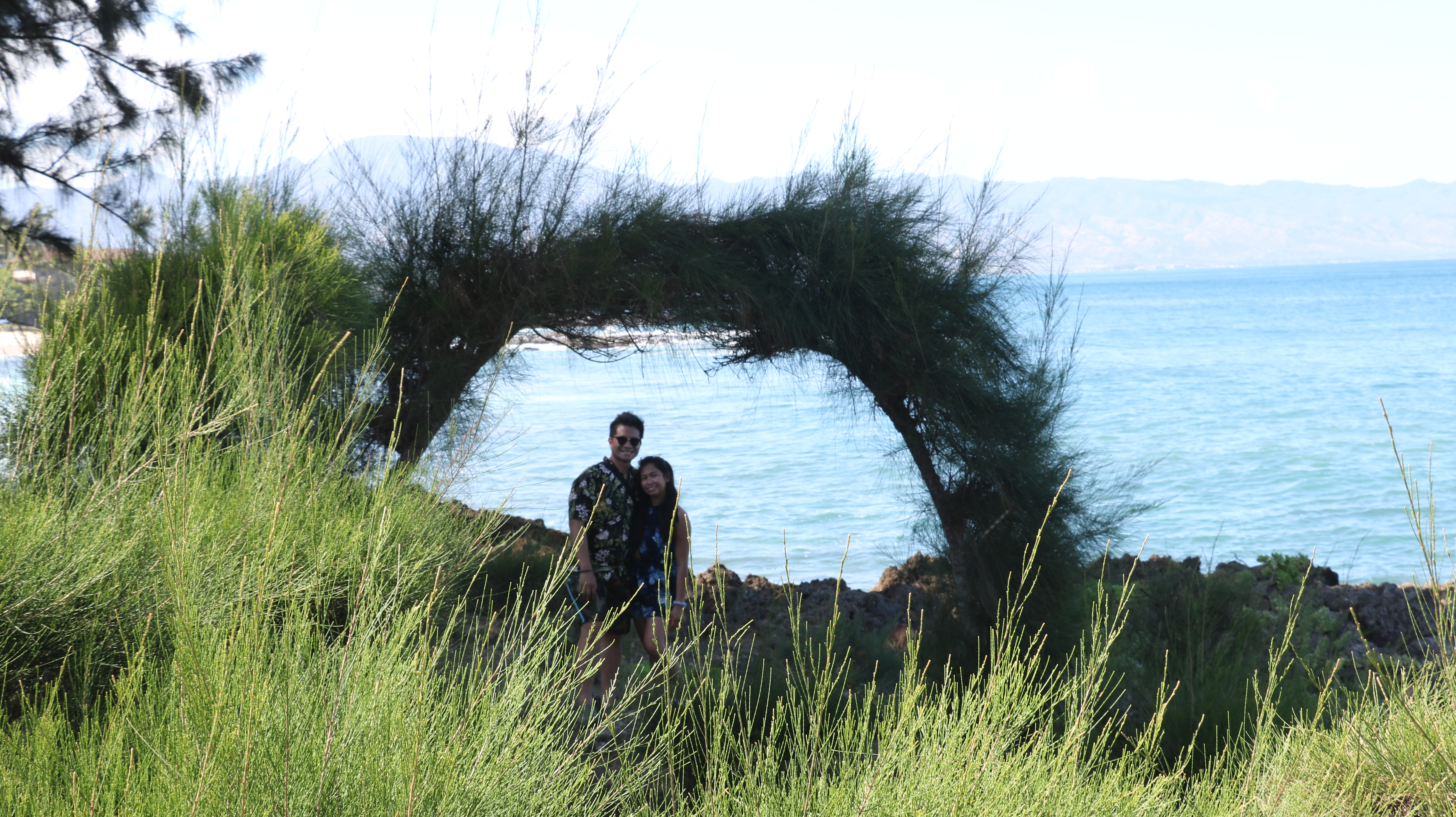 Sarah and Nico standing inside a natural arch of ironwood branches, the ocean visible through the needles.