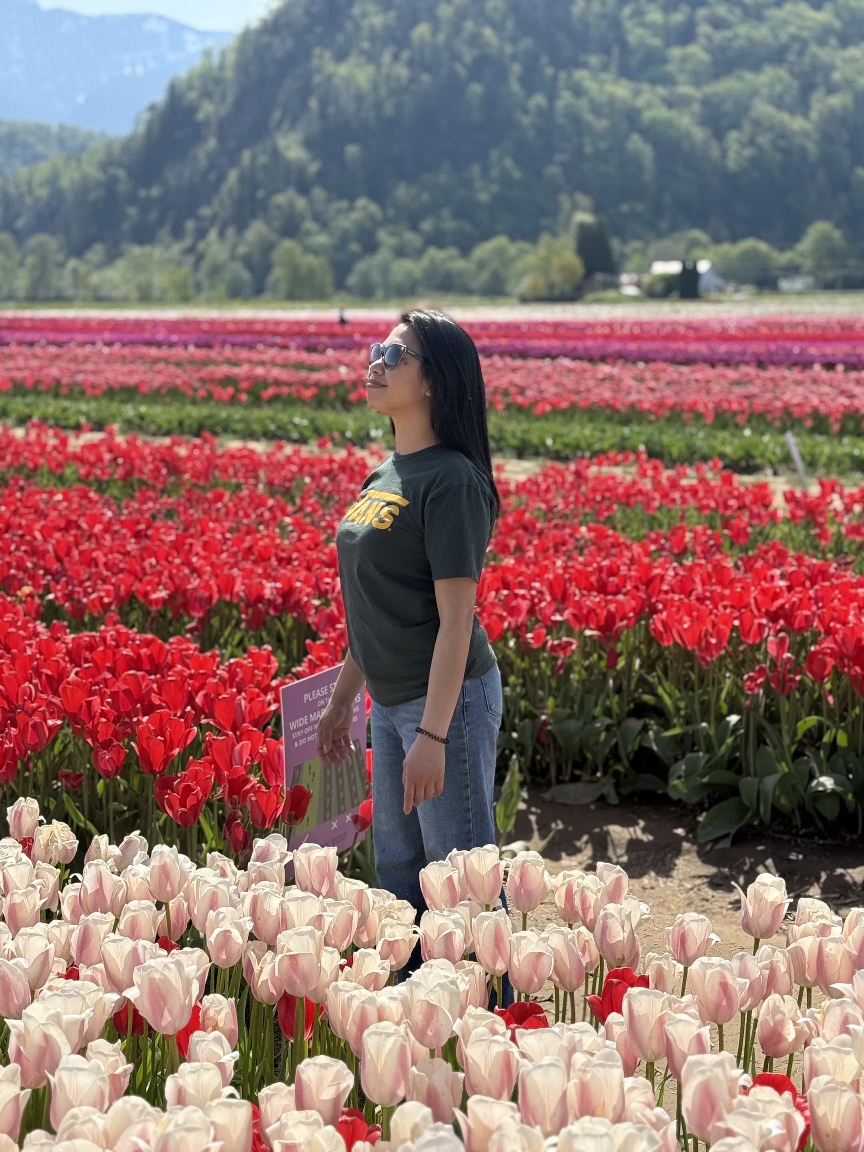 Pink and orange tulips with mountains behind them