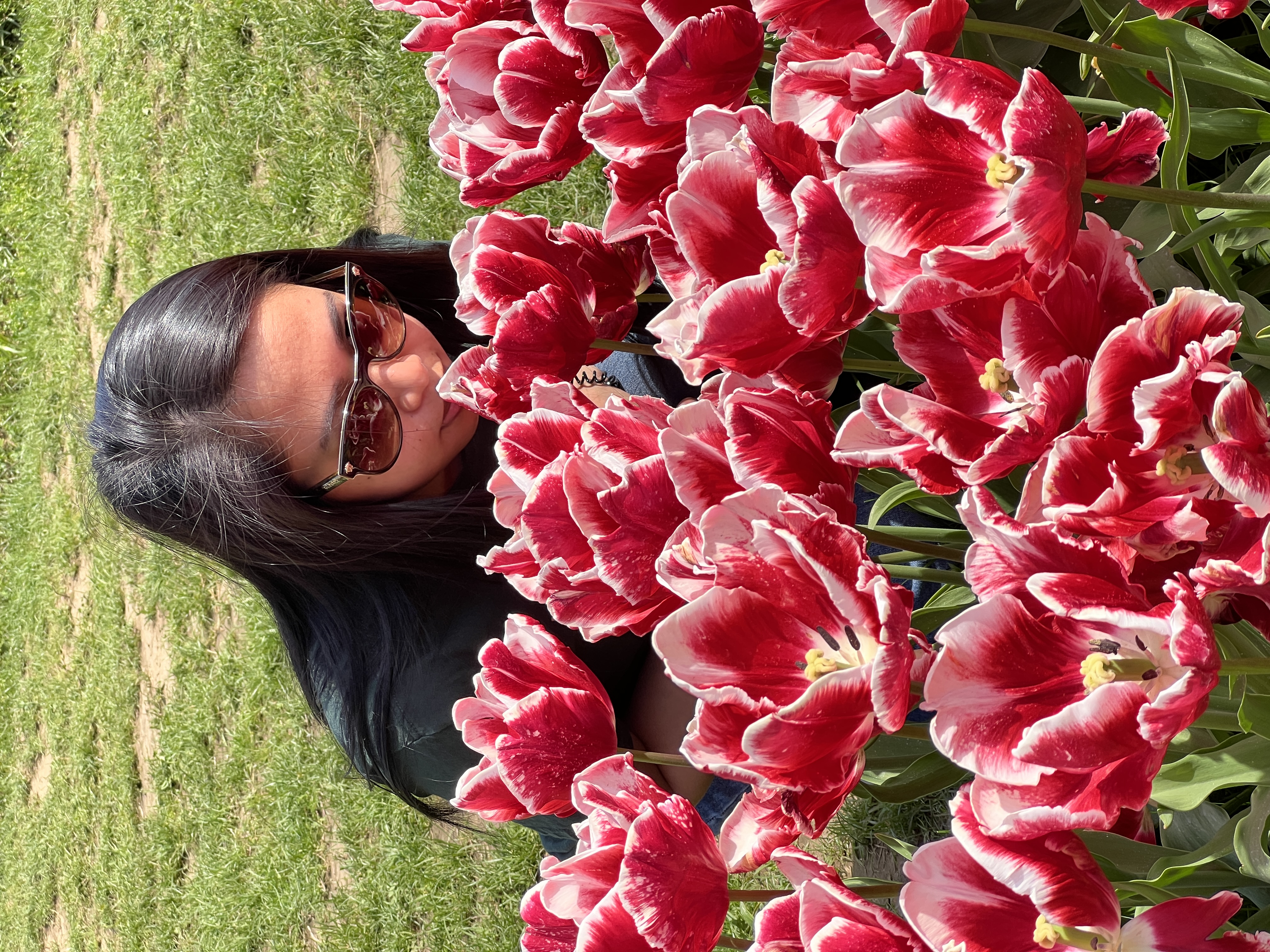 People sitting among the tulips
