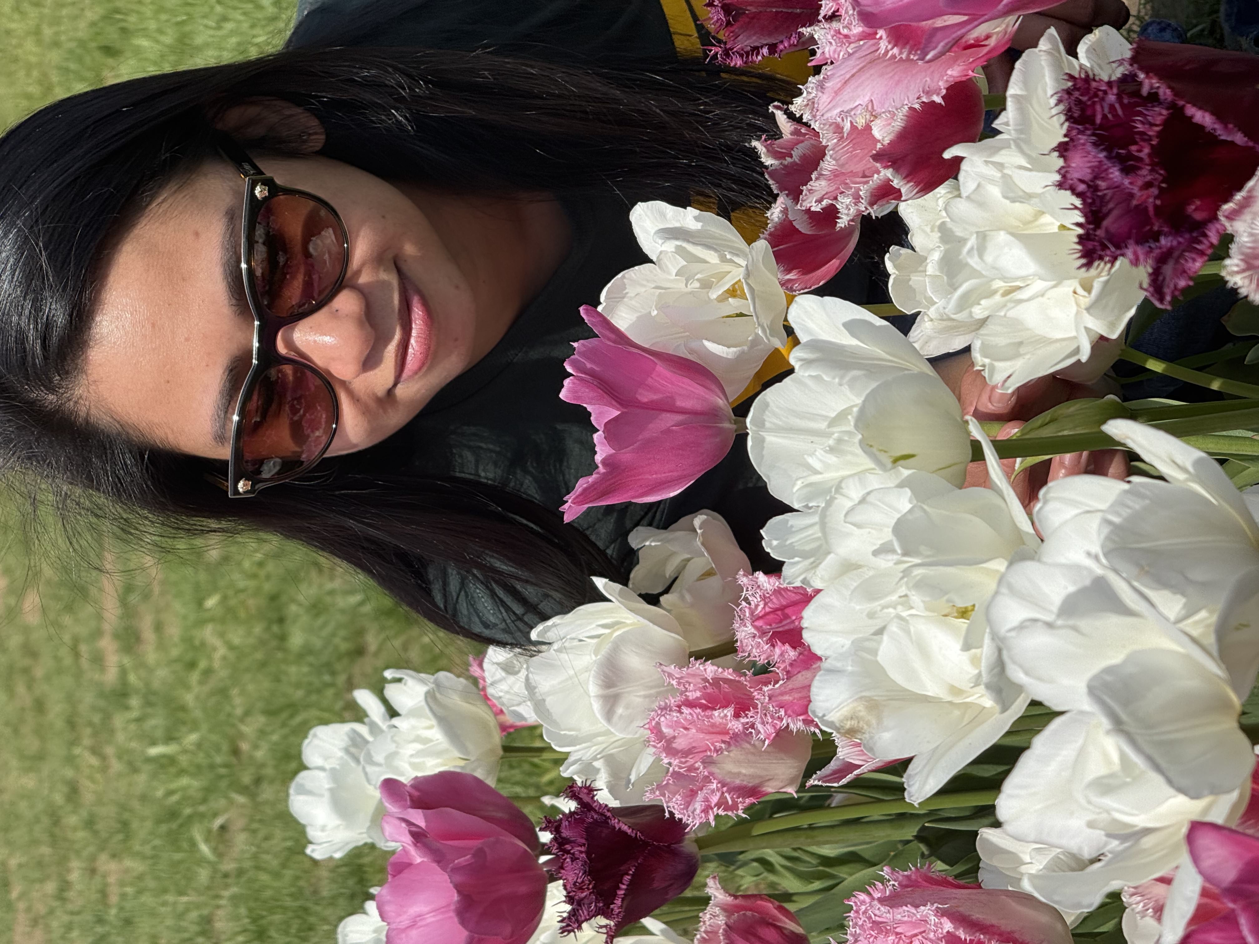 People exploring the tulip festival
