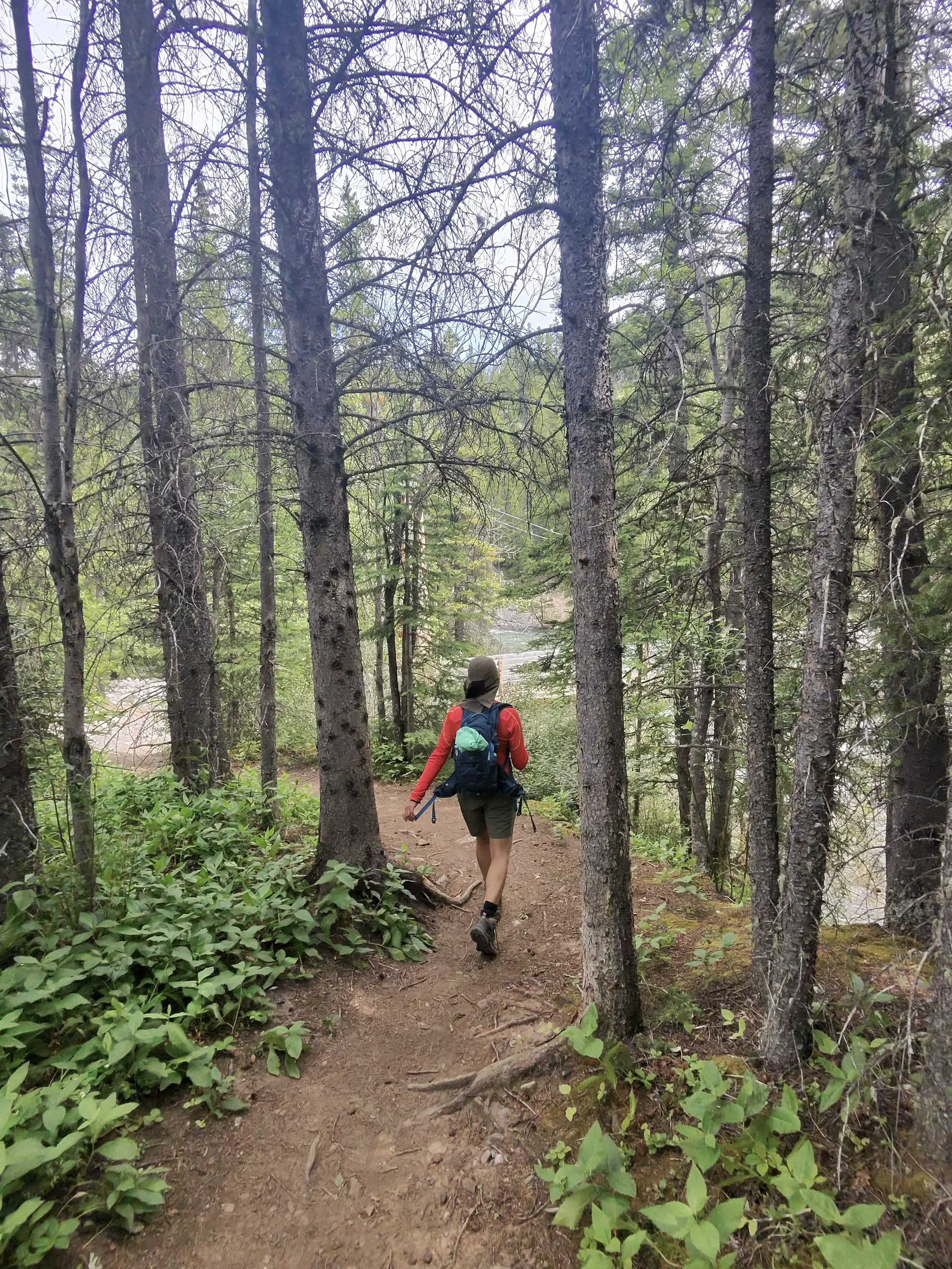 Sarah hiking through the trees
