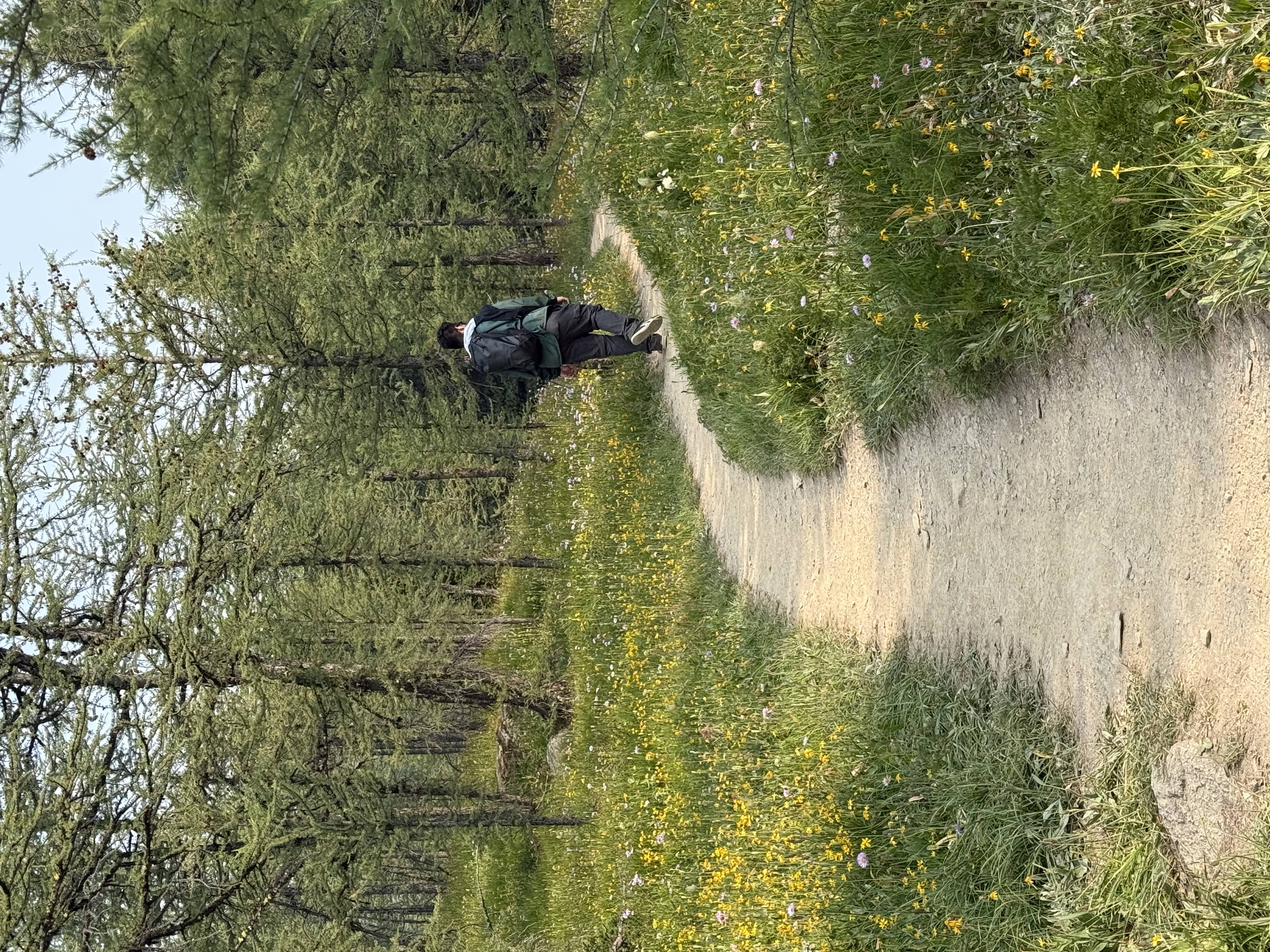 Nico walking on the trail